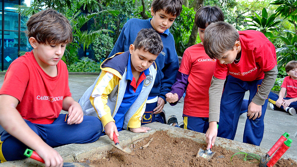 Blog | A Importância da Coordenação