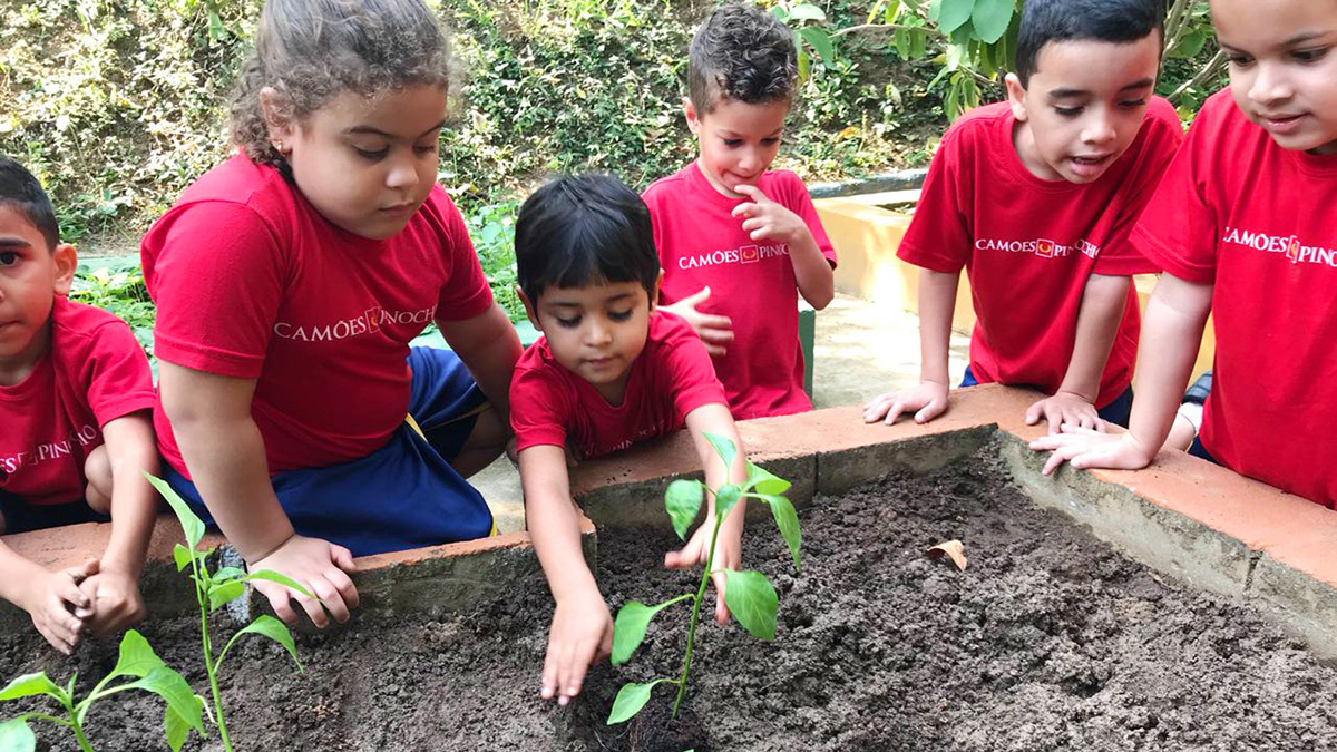 Blog | A Idade Escolar Ideal